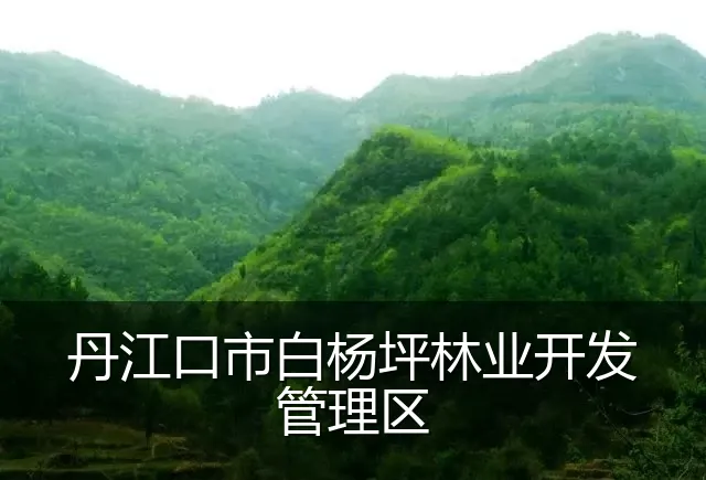 丹江口市白杨坪林业开发管理区