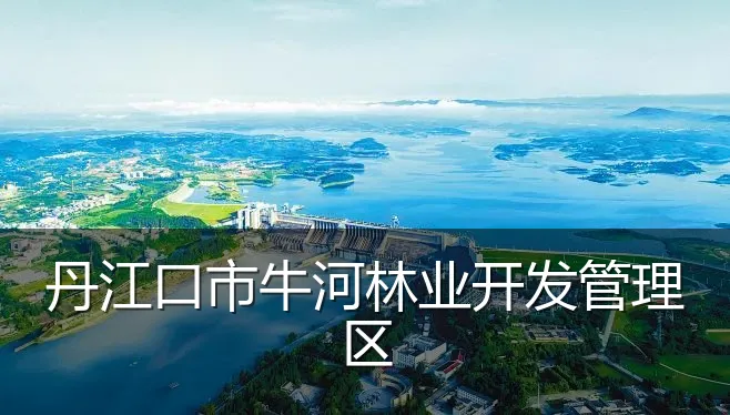 丹江口市牛河林业开发管理区
